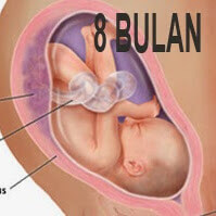 Kenali Tahapan Perkembangan Janin